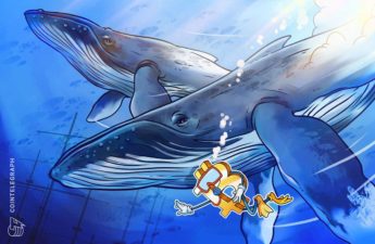 3rd biggest whale address adds 207 BTC at $62K