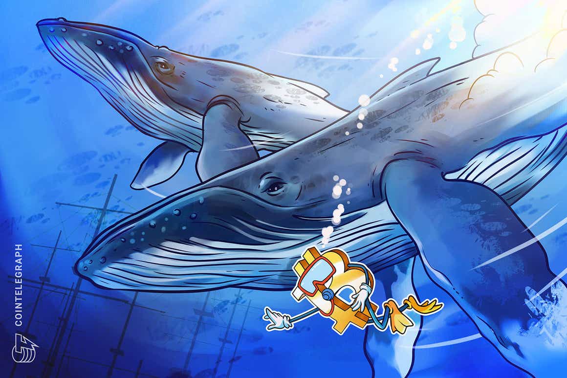 3rd biggest whale address adds 207 BTC at $62K