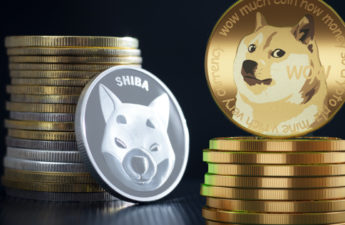 Meme Coin Market Cap Loses 3.5%, Top 2 Leaders Dogecoin, Shib Inu Shed Billions