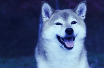 Shiba Inu Up 18% Amid 1 Million SHIB Holders Milestone