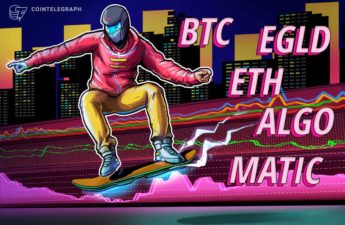 BTC, ETH, MATIC, ALGO, EGLD