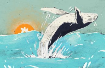 BTC Whale Exchange Drop Bitcoin Price