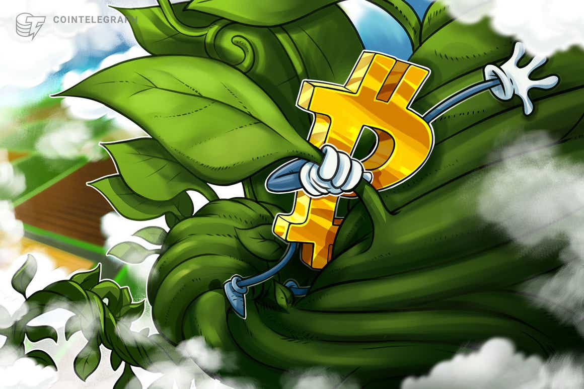 Bitcoin 'Santa rally' pauses at $51.5K as funds bet on a sub-$60K BTC price for January 2022