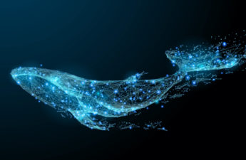 Monster-Sized Bitcoin Whale Transfers: Blockchain Parser Catches Significant Amounts of ‘Cold BTC’ Moved to Active Exchanges