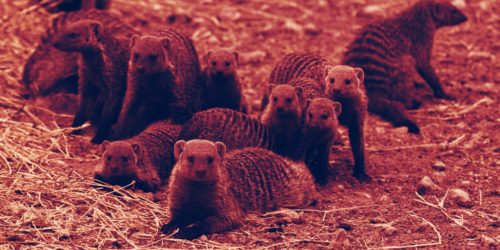 Congressional Hearing Spawns A Pack of Mongoose Coins