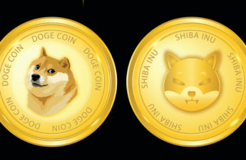 DOGE and SHIB Led the Pack of Meme-Based Assets in 2021, Both Tokens Dominate 85% of the Meme-Coin Economy