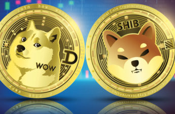 Meme Token Economy Climbs 14% in 2 Weeks — DOGE, SHIB Command 83% Dominance