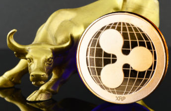 Ripple Achieves 'Strongest Year Ever' Despite SEC Lawsuit Over XRP, Says CEO