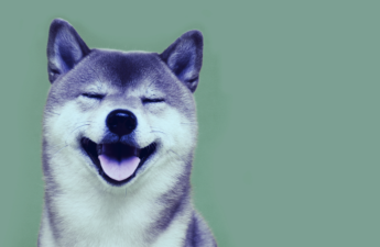 Shiba Inu Surges 16% Following Whale’s $136 Million SHIB Buy