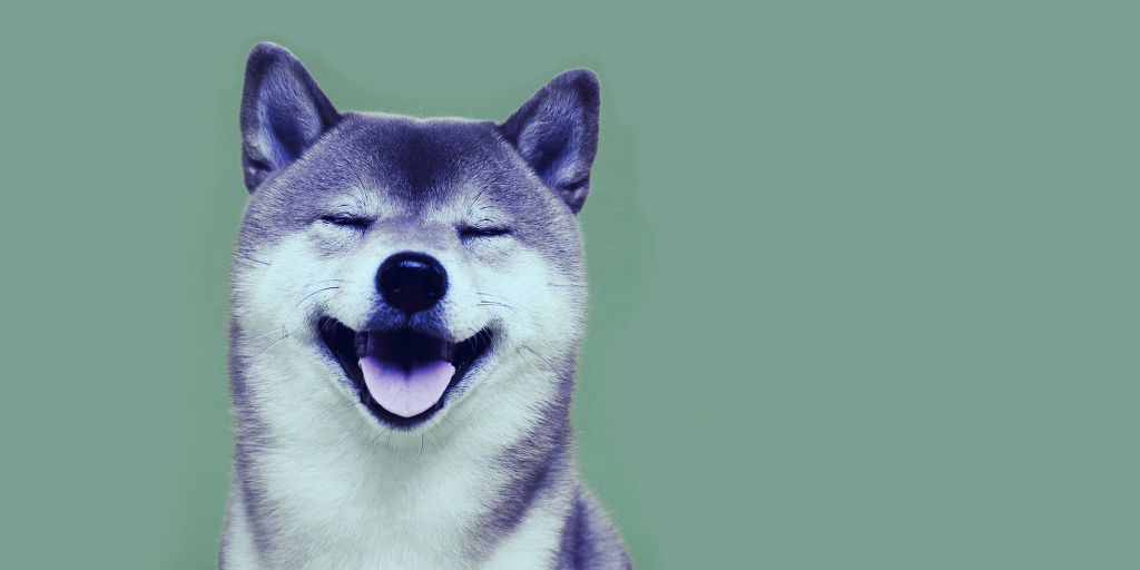 Shiba Inu Surges 16% Following Whale’s $136 Million SHIB Buy