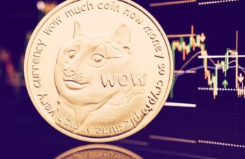 Dogecoin Drops to Lowest Price in Nine Months as Crypto Market Sinks