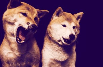 Meme Coins Dogecoin, Shiba Inu Mount Double-Digit Recovery Amid Crypto Rebound