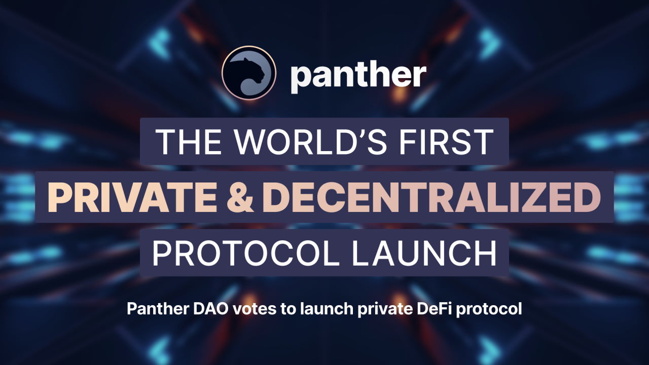 Panther DAO Votes to Launch Private DeFi Protocol End of January – Press release Bitcoin News