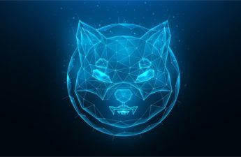 Shiba Inu Project Reveals 'Doggy DAO,' Devs Say Phase 1 to Provide 'Immediate Power to the SHIB Army'