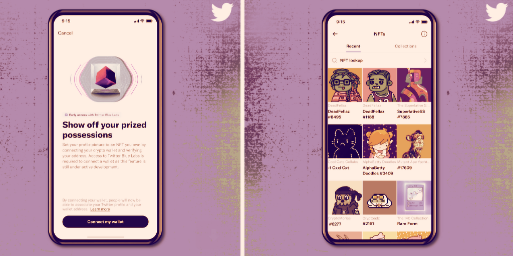 Twitter Launches NFT Profile Pic Verification for Some iPhone Users