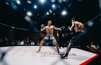 UFC Partners With Dapper Labs to Launch NFT Collection 'UFC Strike' – Bitcoin News