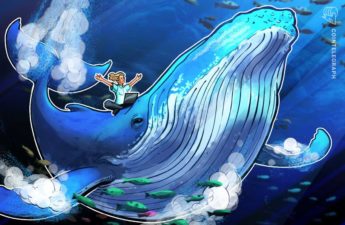 Bitcoin whales buy at $38K as BTC supply per whale hits 10-year high