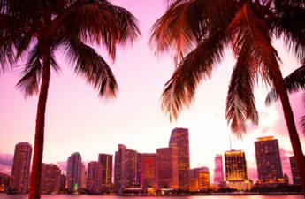 City of Miami Gets $5.25M Disbursement From Miamicoin as MIA Flounders 88% Lower Than Price High – Altcoins Bitcoin News