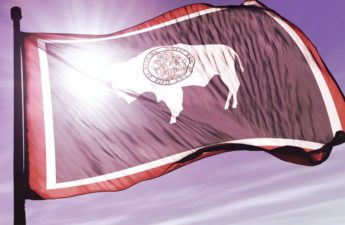 Wyoming Lawmakers Want State to Launch Its Own Stablecoin