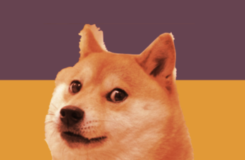 Meet the Dogecoin Enthusiasts Sending DOGE to Ukraine