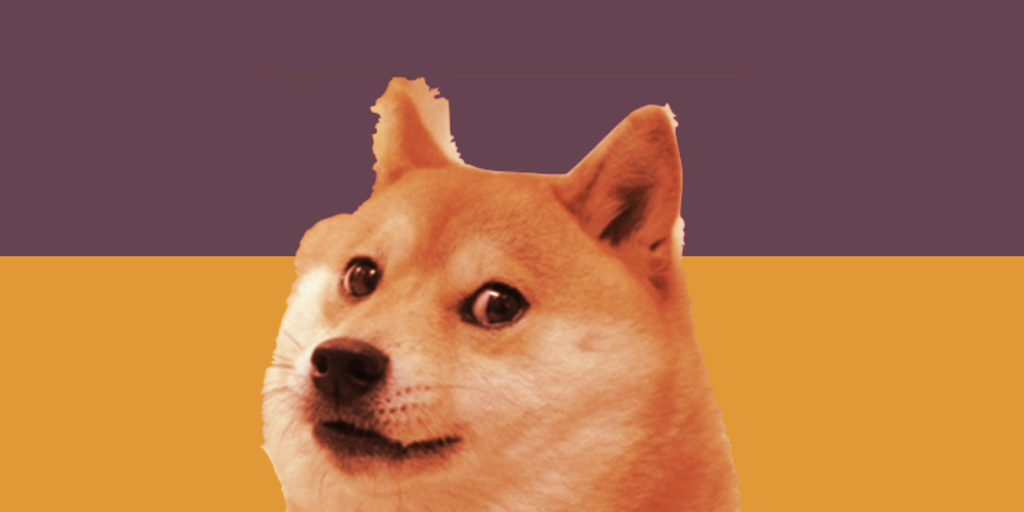 Meet the Dogecoin Enthusiasts Sending DOGE to Ukraine