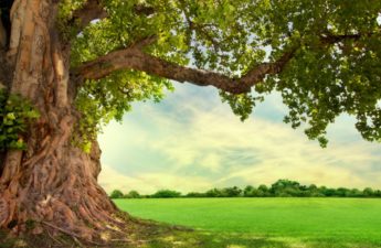 Wisdomtree Launches 3 Crypto ETPs Offering Exposure to Solana, Cardano, Polkadot