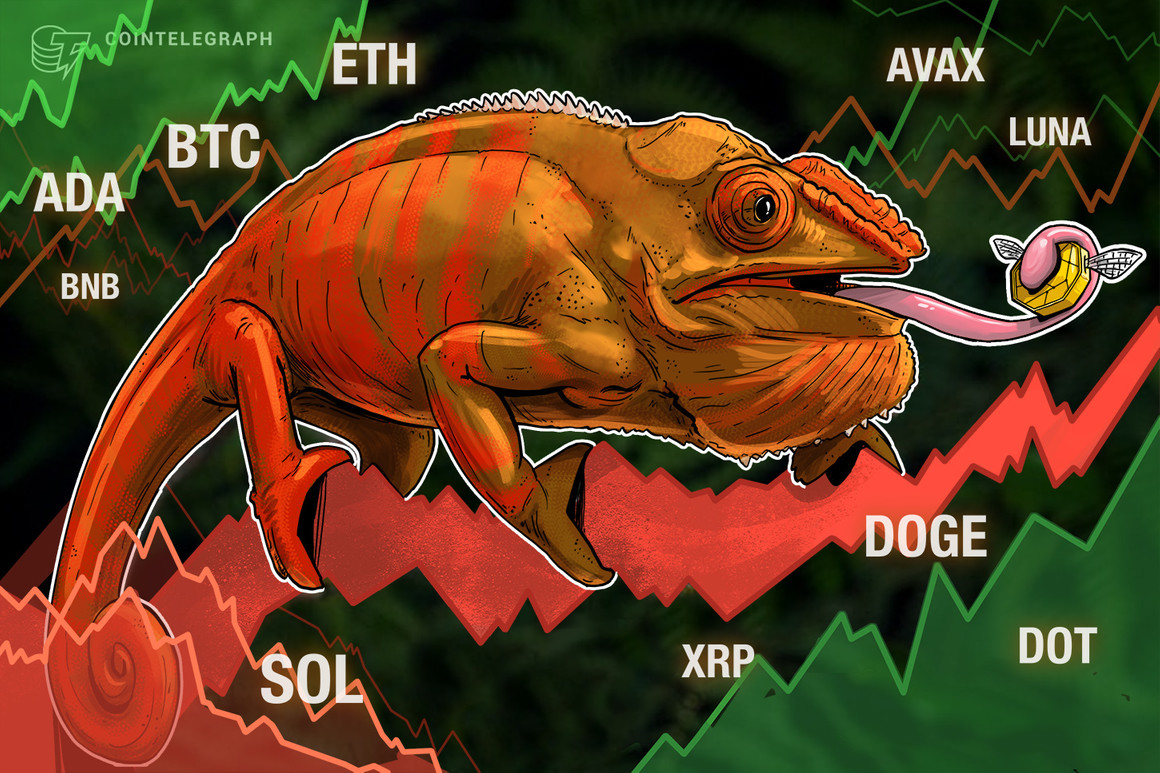 BTC, ETH, BNB, SOL, XRP, ADA, LUNA, AVAX, DOT, DOGE