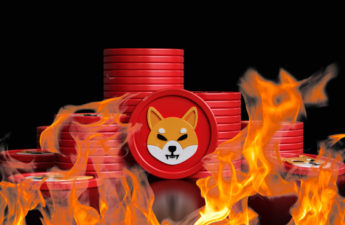 Shiba Inu's New Burn Portal Rewards SHIB Burners for Destroying Their Tokens