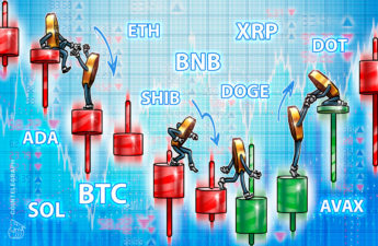 BTC, ETH, BNB, XRP, ADA, SOL, DOGE, DOT, AVAX, SHIB