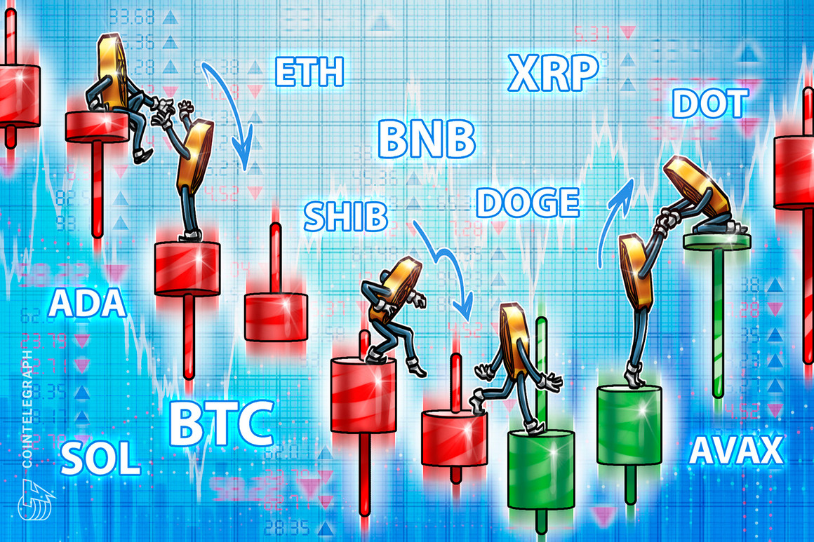 BTC, ETH, BNB, XRP, ADA, SOL, DOGE, DOT, AVAX, SHIB