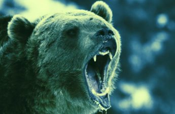 Bear Markets Are for Building the Metaverse