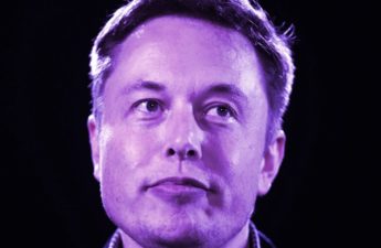 Elon Musk Changes Twitter Profile Pic to Bored Ape NFT Collage, Calls It 'Kinda Fungible'