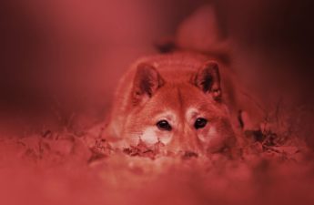 Shiba Inu Token Hits Seven-Month Low as Crypto Market Worsens