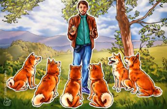 Shiba Inu has a new use case — Buying land in SHIB: The Metaverse