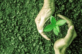 WeWork Founder Raises $70M for Carbon Credit Crypto Project, a16z Leads Round