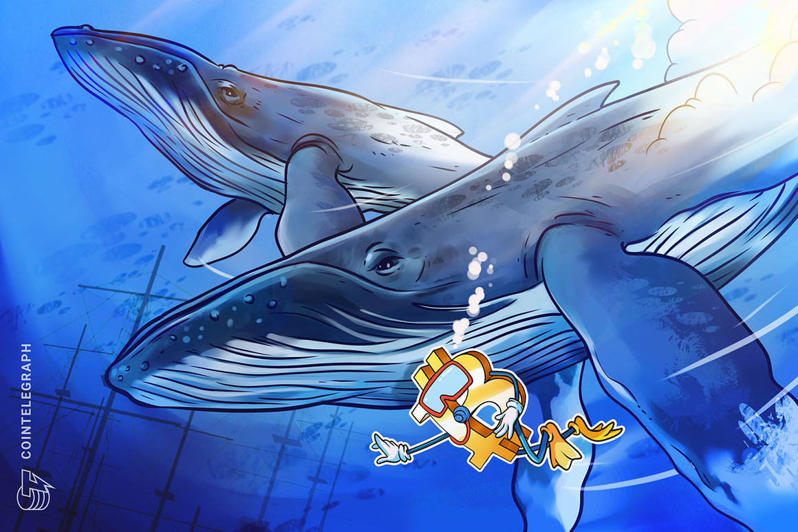 Bitcoin whale support lines up as trader says $14K 'most bearish' BTC price target