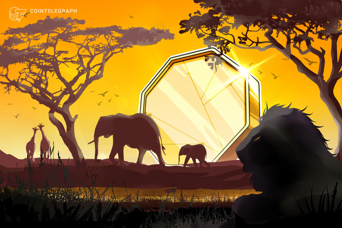 Central African Republic to tokenize the nation’s natural resources