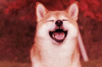 Dogecoin Jumps 9% as Trading Volume Surges