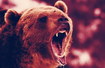 ‘Like Coming Off Heroin’: How Bad Will This Bitcoin Bear Market Get?