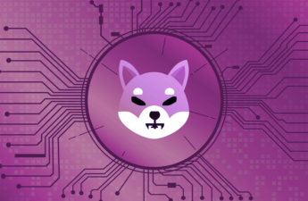 Developers Behind Shiba Inu Tease Launch of New Stablecoin, Reward Token