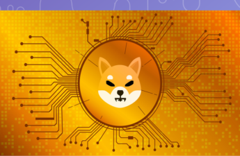 Developers Behind Shiba Inu Tease Launch of New Stablecoin, Reward Token