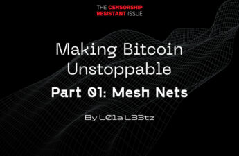 Making Bitcoin Unstoppable Part One: Mesh Nets - Bitcoin Magazine