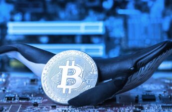 This Week on Crypto Twitter: Bitcoin Whales Buy the Dip, Nic Carter Defends an Investment, SBF Memed as Atlas