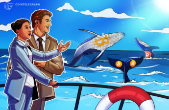 What is Bitcoin whale watching and how to track Bitcoin whales?