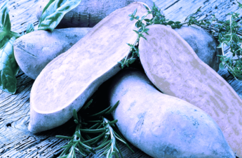 Yam Finance Safeguards $3.1M Treasury From Governance Attack