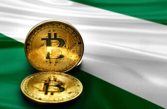 More Than a Third of Africa's 53 Million Crypto Owners Are From Nigeria, Study Shows – Africa Bitcoin News