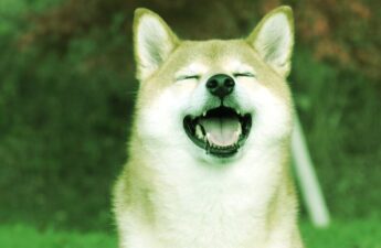 Shiba Inu Spikes 30% On Sunday, Dogecoin Climbs