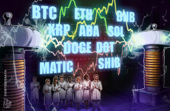 BTC, ETH, BNB, XRP, ADA, SOL, DOGE, DOT, MATIC, SHIB