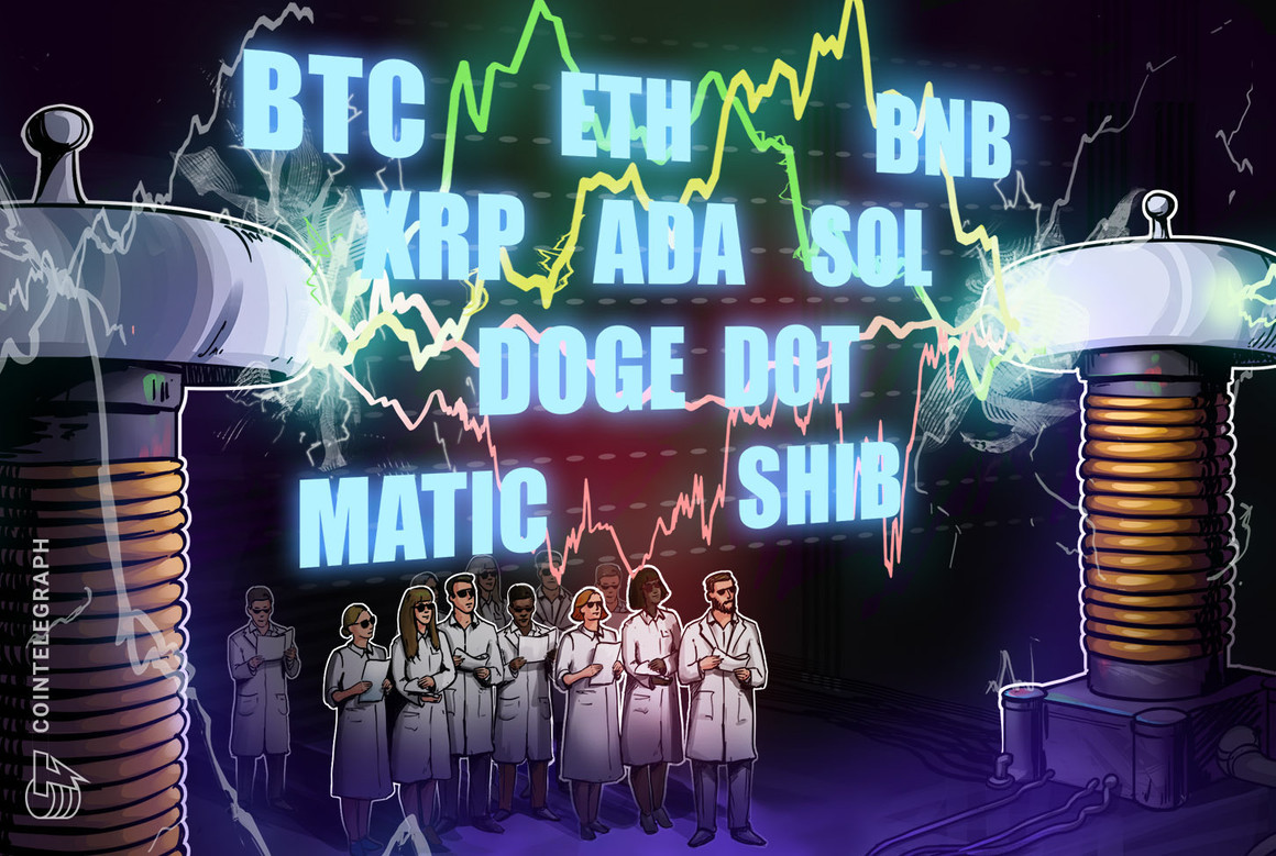 BTC, ETH, BNB, XRP, ADA, SOL, DOGE, DOT, MATIC, SHIB