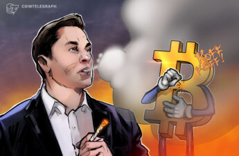 Elon Musk, Cathie Wood sound 'deflation' alarm — is Bitcoin at risk of falling below $14K?